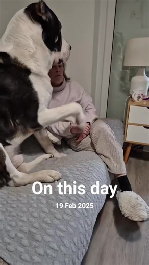 Cuddly Moments with a Big Baby