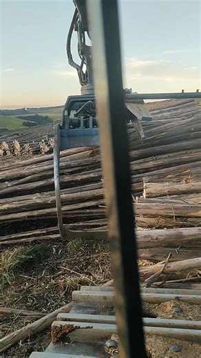 Amazing Video logging USA 🇺🇸🚜💸🌲🪚🪓 . . #loaderman559 #woodwork #tigercub #ForestryEquipment #logging #mh60d #forestrymulching #johndeere #landclearing #johndeerforestry #forestry #texas #logginglife #logger #loggerlife #LoggingHistory #history #historia #wood #OMG #usa #woodenfurniture #facebookreel #facebookpost #facebookreelsviral | Peake Warren