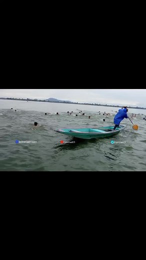In open water swimming competition like that held in Dal Lake , Srinagar , Kashmir; importance rescue workers multiple and this video clip depicts its importance perfectly | Kashmir Sports Watch