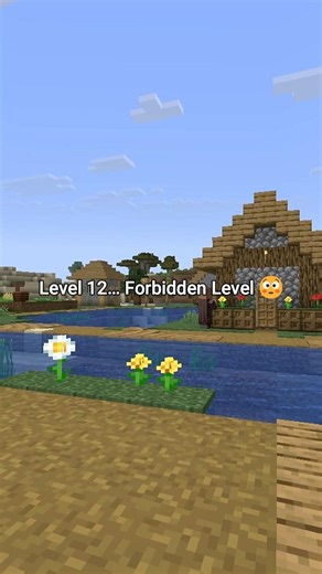 Level 12… Forbidden Level 😳 Spot the Odd Block #minecraft