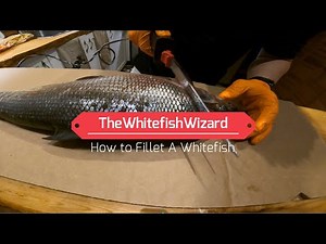 How To Fillet A Whitefish