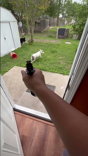 Review of the Umarex Colt M45 CQBP Blowback .177 BB.