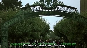 Подборки видео для вас — поиск Яндекса по видео