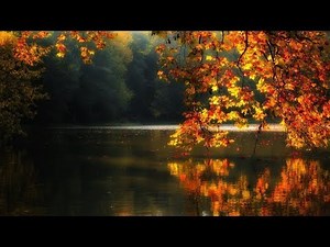 André Rieu - Fascination