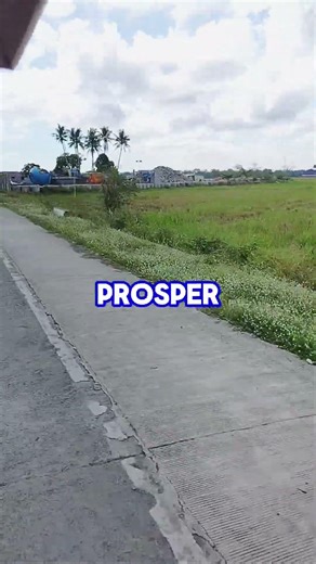 Jeremiah 29:11 #bibleverse #dailybibleverse