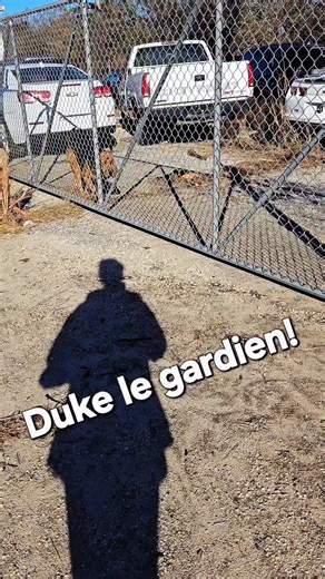 Caro Bouchard on Instagram: "Jour 5 à Hamer! Il ne faut pas juger les gens sur l'apparence! Leur 🩵 est bon, les histoires familiales rempli de deuil! Je laisse ma trace et un peu de joie au passage! 🤗"