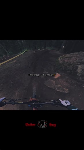 Exploring Shadowsongs in Sports and Music