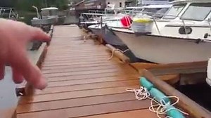 91K views · 2K shares | That will get your heart racing the next time you're fishing off the dock... | Fishidy | Facebook