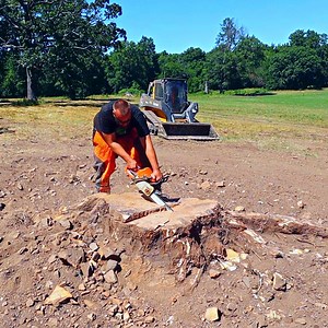 1.1M views · 9.6K reactions | A Interesting Way to get rid of a Huge Tree Stump - Cut, Dig, and Burn | Rockhill Farm - Tractors, Firewood, and Excavating | Facebook