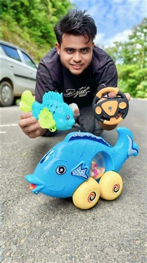 Remote Control Big And Small Size 2 Ta Fish Review Deko