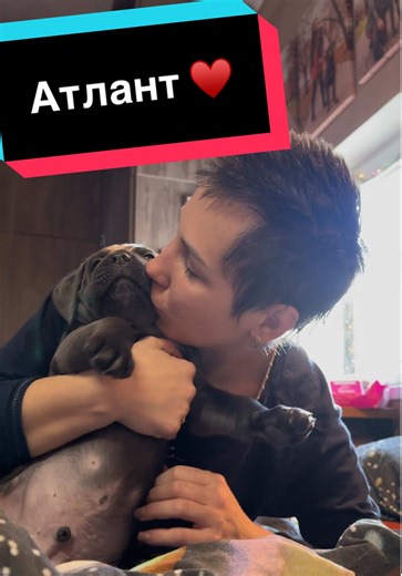 Ответ пользователю @vallftrv