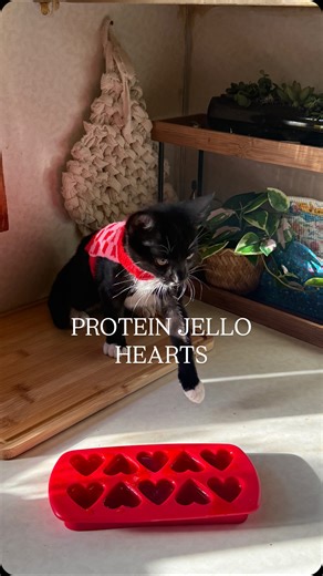 Lauren on Instagram: "PROTEIN JELLO HEARTS - 1 cup hot water - 1/2 package sf strawberry jello mix - 1 scoop collagen powder - 1 equate protein shot #easyrecipes #highprotein"