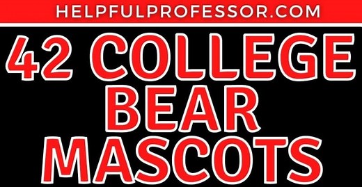 42 US Colleges with Bear Mascots