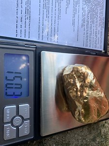 21K views · 419 reactions | Enormous GOLD NUGGET Find in the Jungle! | Hunting and guns | Facebook
