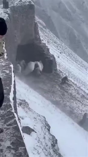 Mitología y Animales Extraños: El Pegasus Amarrado