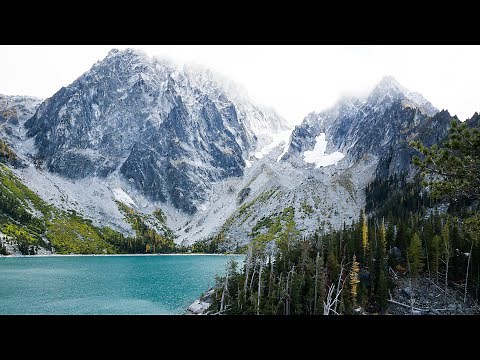 iPhone13 Pro + Moment M-Series Anamorphic Lens Example Clips