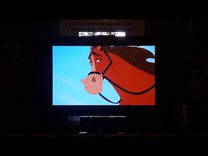 Opening to Finding Nemo 2003 Dvd ( Disc 2 )