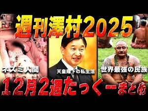 【週刊澤村2025】12月第2週たっくー動画まとめ【たっくー切り抜き】