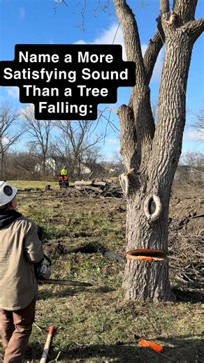 Even Enterprise on Instagram: "Uncut Tree Fiber Stretching and Popping While a Tree Falls Makes For The Most Satisfying Noise. . . . Using uncut Tree Fiber or (hinge wood) to your advantage helps you control a tree fall. Understanding the Anatomy of a Tree is Very important when dropping a tree. #treeservice #arborist #satysfying #sound #treeremoval #listen #treefalling"