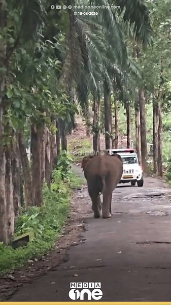 അതിരപ്പള്ളി ഏഴാറ്റുമുഖത്ത് കാട്ടാന; RRT സംഘത്തിന് നേരെയാണ് കാട്ടാന ആക്രമണമുണ്ടായത്