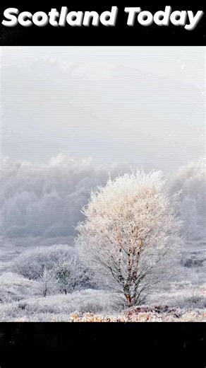 4.9K views · 53 reactions | Some Daily Highlights From Scotland's Scenery #scotlandreels #scottishhighlands #scotland #scotlandisnow #photographyscotland #uk #ireland #scotlandsbeauty #highlands #stornoway #edinburgh #glasgow #dundee #aberdeen #perth #Inverness #luskentyre #isleofskye #lerwick #Kirkwall | Scotland's Scenery | Facebook