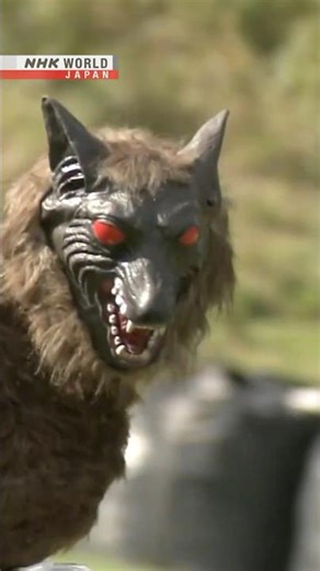Mechanical wolf back in actionーNHK WORLD-JAPAN NEWS #shorts