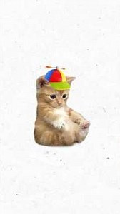 Kitty explains what happened to Friv
