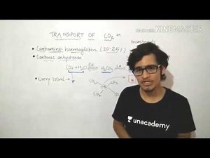 Transport of Carbon dioxide by RBC, plasma and bicarbonate.