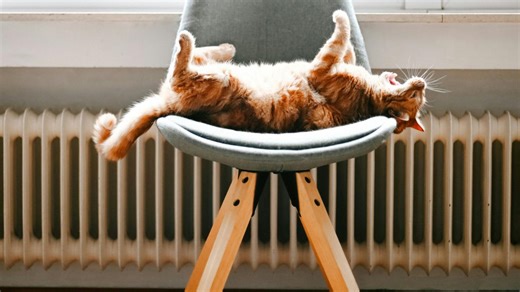 Chèque énergie : comment est calculé le montant de cette aide qui peut bénéficier à plus de 5 millions de foyers ?