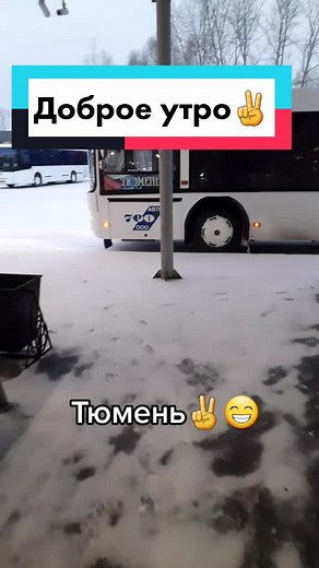 Modern Bus 115 Amidst Snowy Landscape