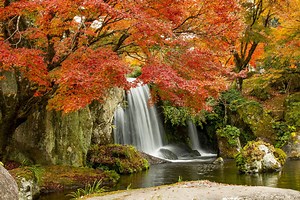 Do Muslims Believe Jesus Was Sinless? | About Islam