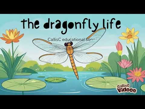 🐉✨ Dragonfly Life – Fun Kids Song