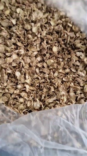 Lala harvest manufacturing unit #manufacturing #factory #business #viral #trending #viralvideo