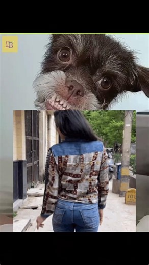 3 Crazy Inventions in the World 🤯 | The Last One Will Freak You Out 😱