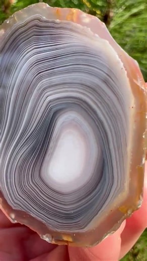 Botswana Agate Specimen - Etsy