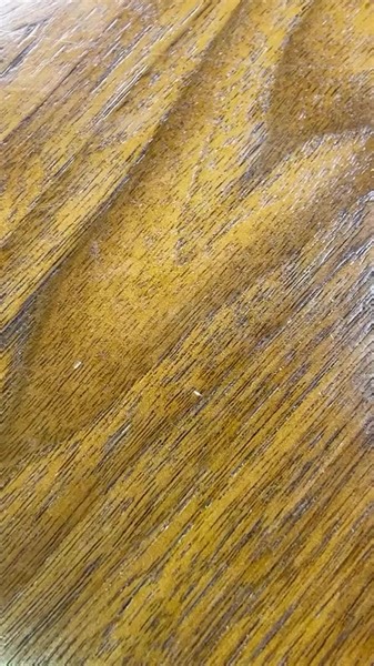 3.8K views · 21 reactions | Time is precious and so is your style.  Use it wisely and pick up a NEW Invicta Watch tonight starting at 8pm ET. Use code WAREHOUSE20 for 20% off watch orders between 8pm - 11:59pm ET. ️ | ShopHQ | Facebook