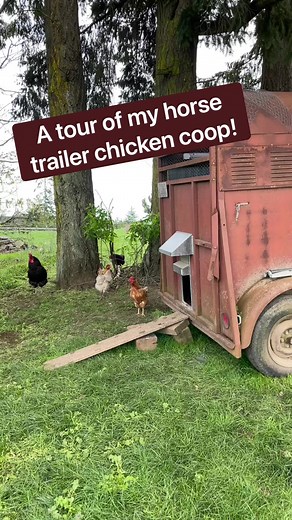 277K views · 3.8K reactions | We did a barn tour, now let’s tour the chicken coop! Not nearly as glamorous. #chickens #farmtour #farmlife #backyardchickens | Double Z Farm | Facebook