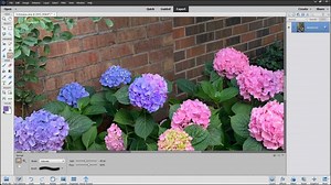 The Sponge Tool in Photoshop Elements - Instructions
