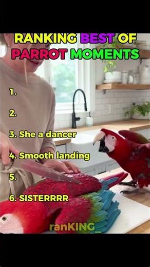 BEST PARROT MOMENTS OF 2026 🤣🦜 | FUNNY MOMENTS #funny #shorts