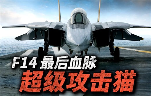 F-14终极魔改方案，超音速巡航能力比F35更强！最终为何输给超级大黄蜂？
