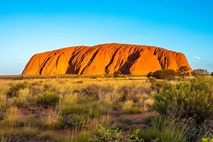 12 Amazing Animals You'll Find Near Australia's Legendary Ayers Rock (Uluru)