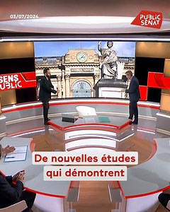 2.6K views · 53 reactions | La France, ciblée par des '"attaques informationnelles" de la part du Kremlin ? Plusieurs réseaux d'influence russes cherchant à accentuer les divisions de la société française pour influencer le résultat des législatives ont été identifiés par des chercheurs. Ces manipulations, qui s'inscrivent dans une stratégie d'influence étrangère à basse intensité bénéficient avant tout au parti de Jordan Bardella et Marine Le Pen. | Public Sénat | Facebook