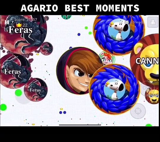 DO YOU LIKE AGARIO? #agariomacro #agario #agariomobile | agar io