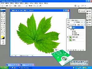 免费28_photoshop_cs3视频教程_投影、内阴影及应用水滴制作