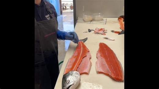 Happy Fathers Day Weekend from Princess Seafood! Here are a few updates for this weekend. 🍽RESTAURANT🍽️ Summers hours - Thursday 11:30-7 Friday - Sunday 11:30-8pm Monday 11:30-4 Specials this weekend include halibut tacos, Fresh picked Dungeness crab rolls and Louis salads and Ahi poke while supplies last 🎵LIVE MUSIC Fri - Steve Porter 12-3 Sat — Background Boys 12-3pm Kevin Green 4-7pm Sun - Lauralee Brown 12-3pm Ben Ortiz 4-7 pm 👩‍🌾 UKIAH FARMER’S MARKET We WILL be at the market 6/14 will