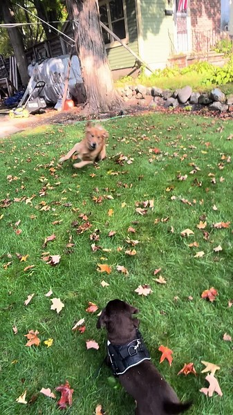 korin_kane (@korin_kane)’s videos with Best Friend (feat. Doja Cat) - Saweetie