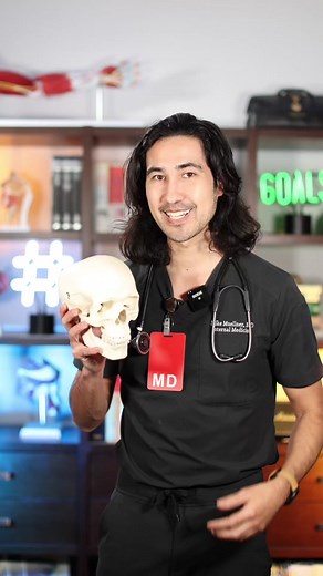 Curiosidades sobre tu cráneo