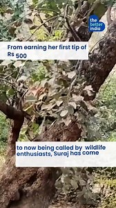 21K views · 1.5K reactions | Meet Suraj Bai Meena, who fought against deep bias, to become #Ranthambore National Park’s first woman naturalist. Watch this video to see her beautiful journey. @surajmeenanaturlist #naturalist #nature #ranthamborenationalpark #tiger #junglesafari | TheBetterIndia | Facebook