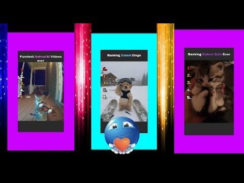 Ultimate Animal Rankings Compilation 🐾🏆