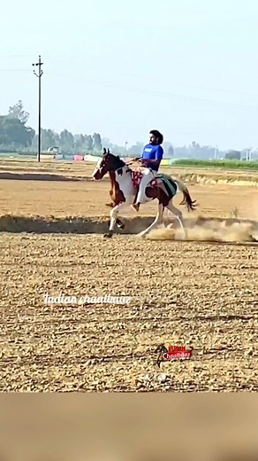16K views · 784 reactions | #horsevlogger #horseblogger #horsevlog #indianhorse #villagevlog #Dailyblog #Dailyvlog #horse #foreels #FacebookPage #viralpost #horselover #reels #reelsinstagram #viralreelsfb #reelsvideo #reelsindia #shorts #shortsvideo #vlog #blog #indianchaalbaaz #atifanwar | Indian Chaalbaaz | Facebook